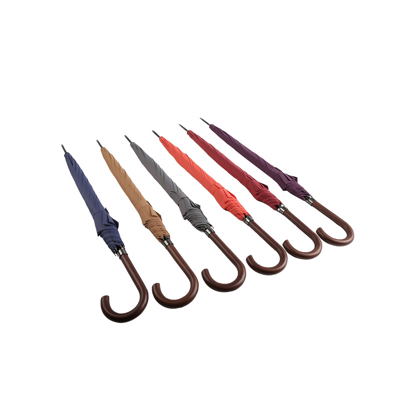 Fuscus Purpura Columna Pongee Umbellae Rectus-0E6B0146