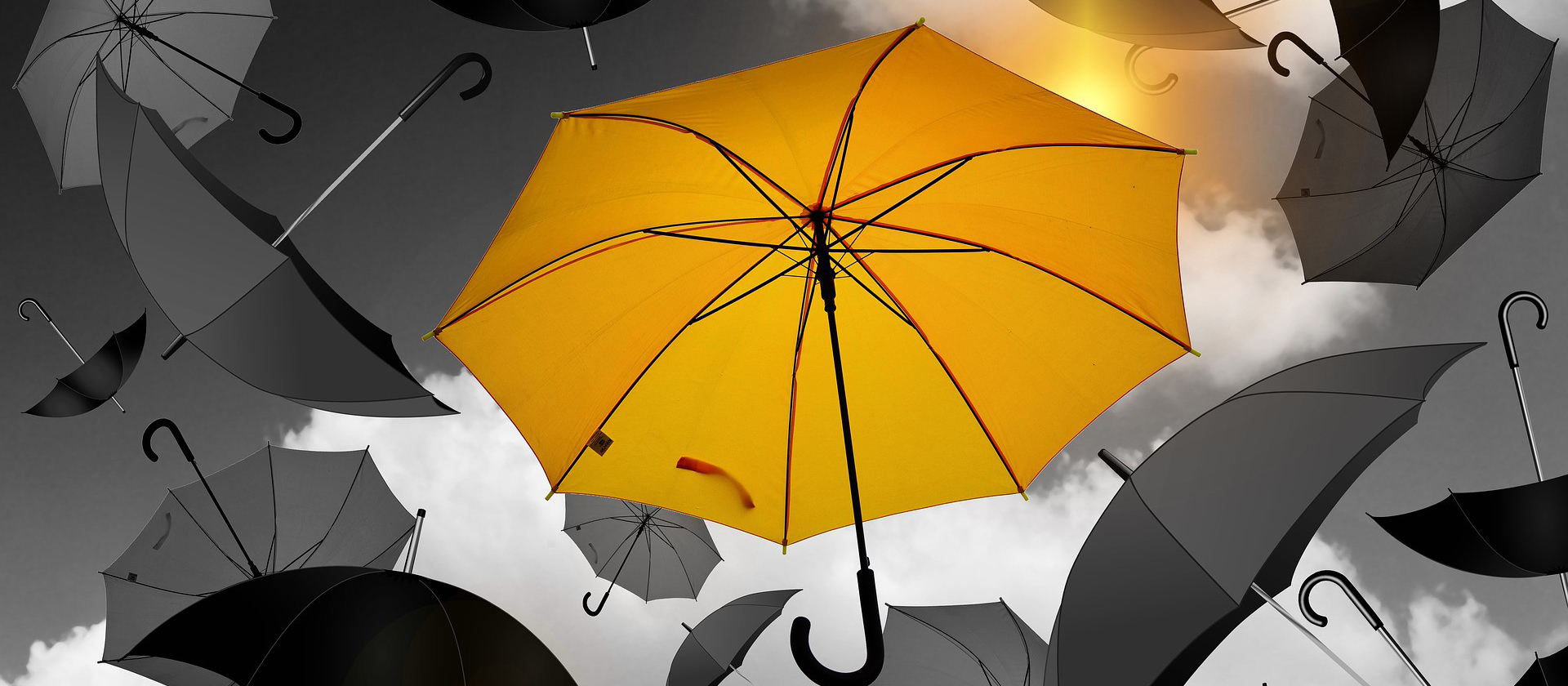 Sunt quattuor principales materias quia Umbrella gradibus